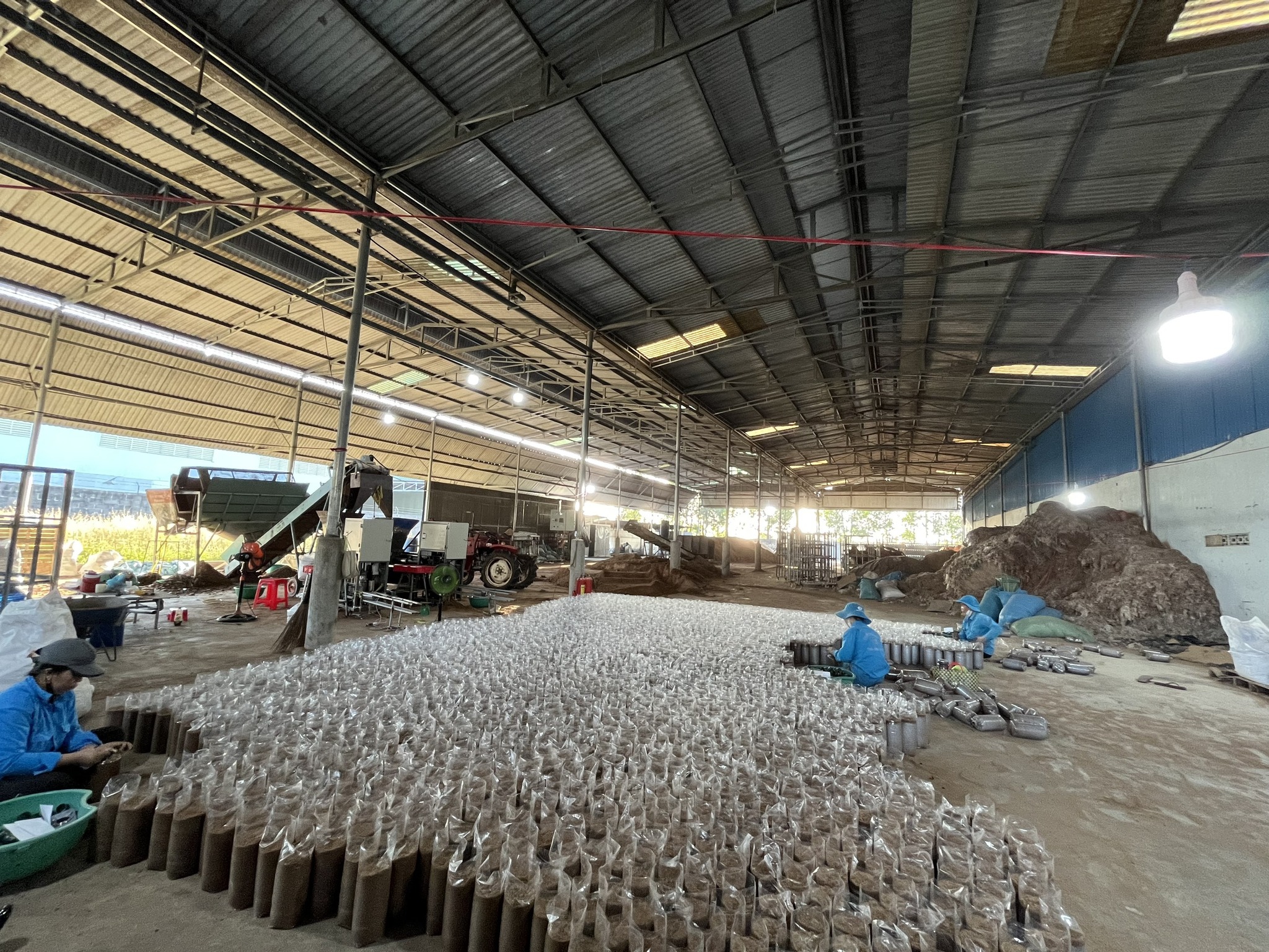 Hợp tác xã Nấm Ninh Bình