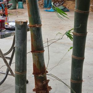 z6417726934119_b580360b9fb7b1e61105e310fac17e91