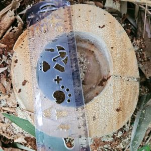 z6417726934229_9098ca15670d421e5933d6eb3cee7f21