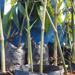 z6504379886466_48f4507b00ac221b12b00d5872c63fa9