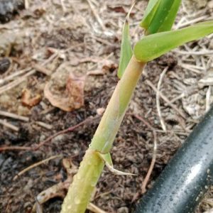 z6566327580124_40dfdc4c1c3350d305462986ef7e7b59