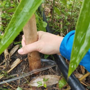 z6566347764432_16b5bce6540137836024519287ad416c