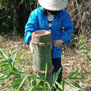 z6610793239722_a260a4b7cb8aca21d947f843dcbf3eeb