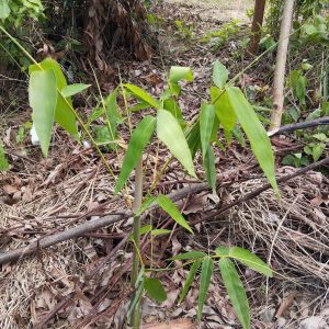 z6688428676108_11af556bc72f36285ad5becd0959367e