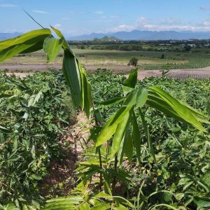 z6688428679816_928fefafda4f04cedb6148847de1c9e8