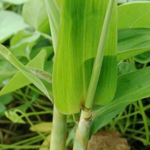 z6709908760522_6dafb7a3bdb22b0f37d6ae3586324072