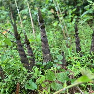 z6709908812735_34a97c15299ca05da1d3d0138c6080ee