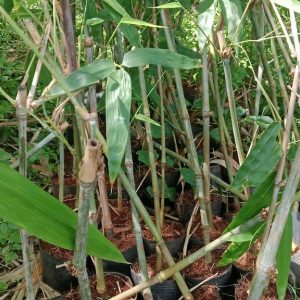 z6737175119598_6142aac52e10edc0408722329aba2c01