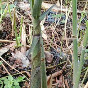 z6763305889065_78eb52daa4e6a0487d775f628e6e4ed8