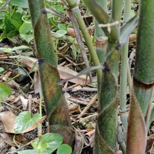 z6763305942762_91bd9ed40a7ec8a1e966707e992ecfa7