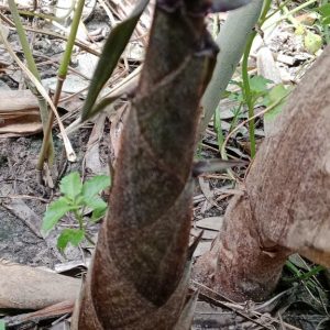 z6783422210926_4217105bd66bb8fb0fdf7a00d255aaea