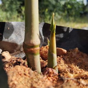 z6809395128174_ae6890d6898a9a15a866171fdc323db6