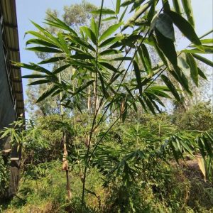 z6886301820193_917666d5e1bad9b457b0bc85b7e8adb1