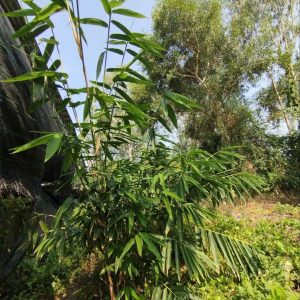 z6886301822709_7570a82bd6cf1afd9c5ffac655390e6d