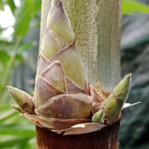 z6930143309635_e0c4ec4c1edc8f3b7c0009194bc2cc04