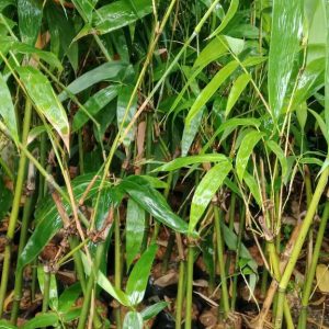 z6989806908786_537aadb01120c0dbb66bc5f9f5aff295