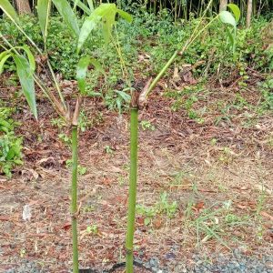 z6989806914075_9b73e31a2b68fcba3bf8d3c29f27d4fd